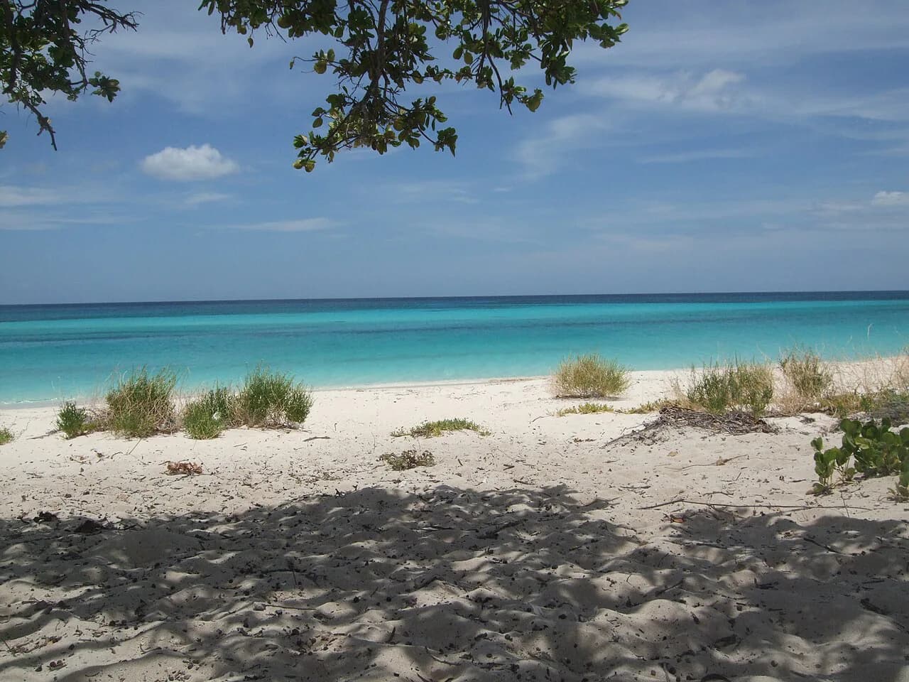 Águilas Beaches: Which Murcia Cove Is Right for You?