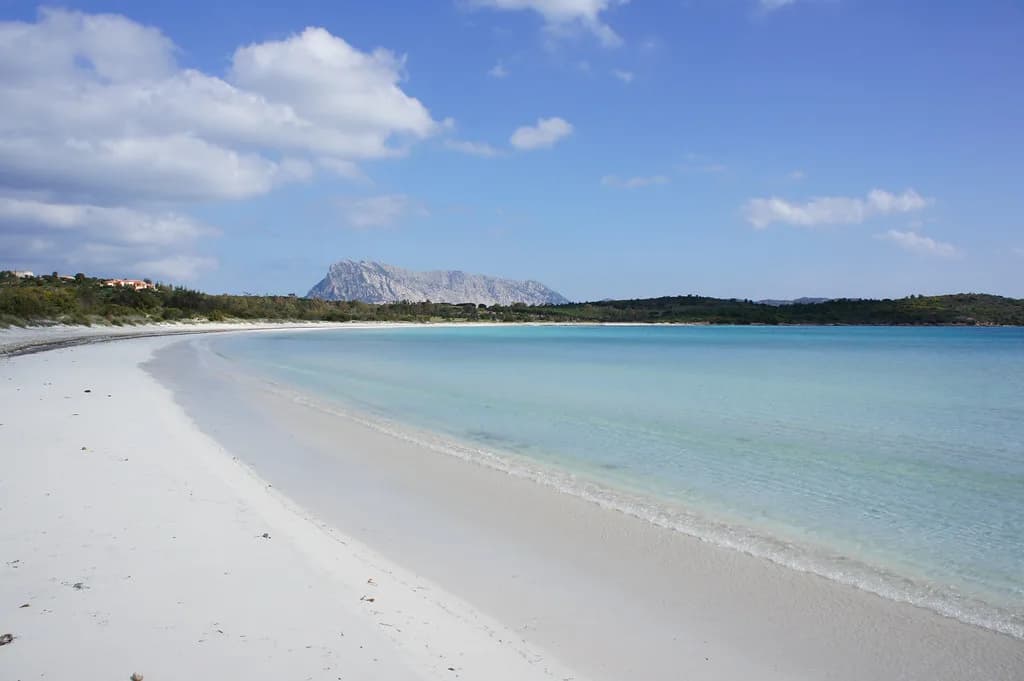 Cala Brandinchi, Sardinia: Beach Guide, Parking and Sunbed Prices