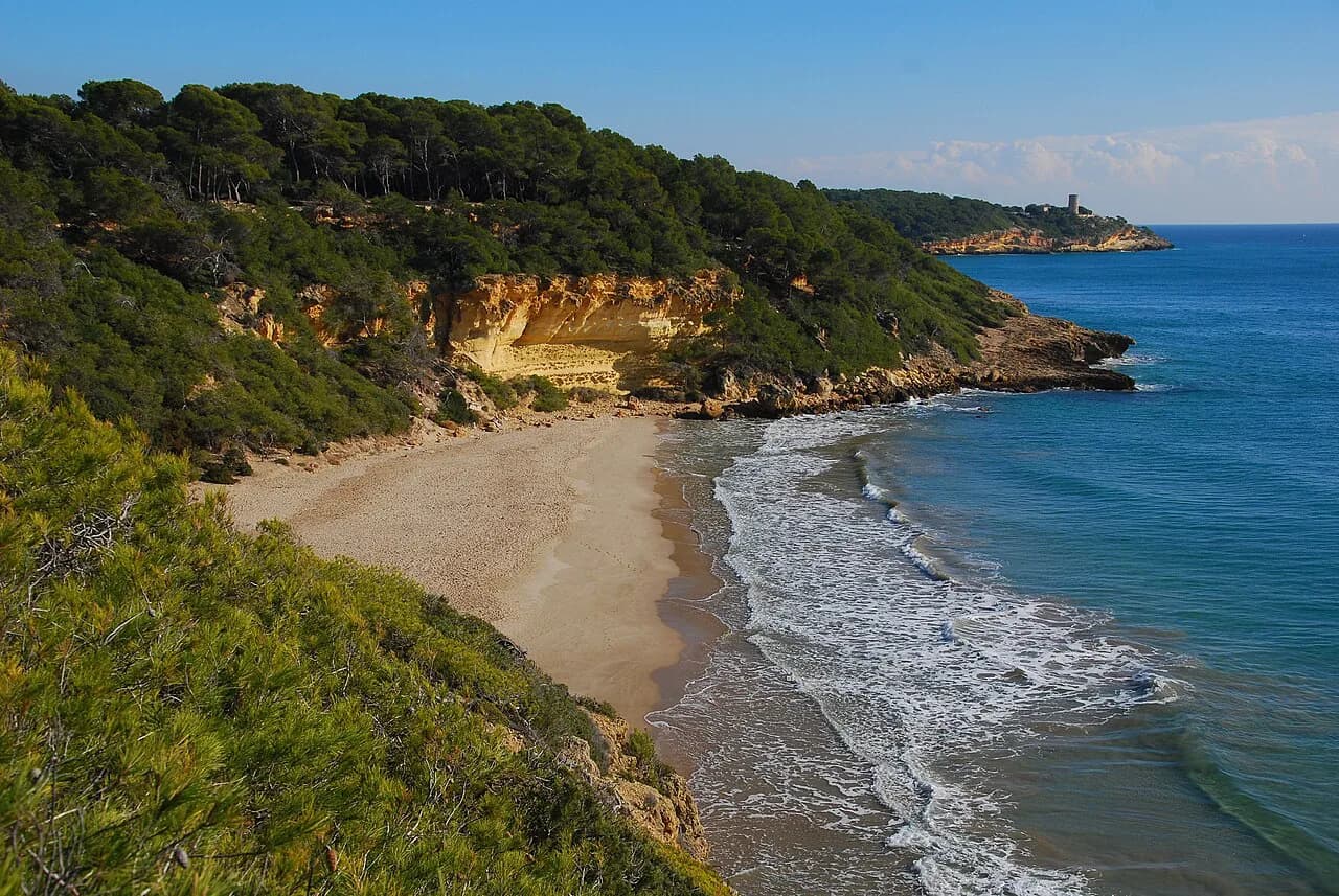 Cala Fonda (Waikiki Beach), Tarragona: Which Beach Guide