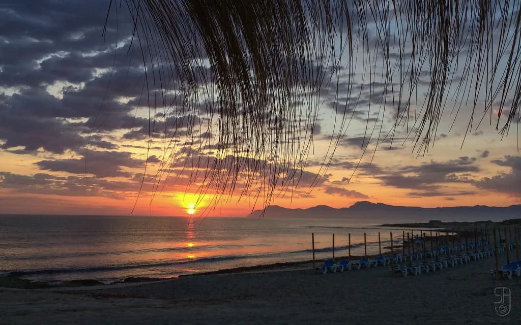 Can Picafort Beach, Mallorca: Sand, Water and Getting There