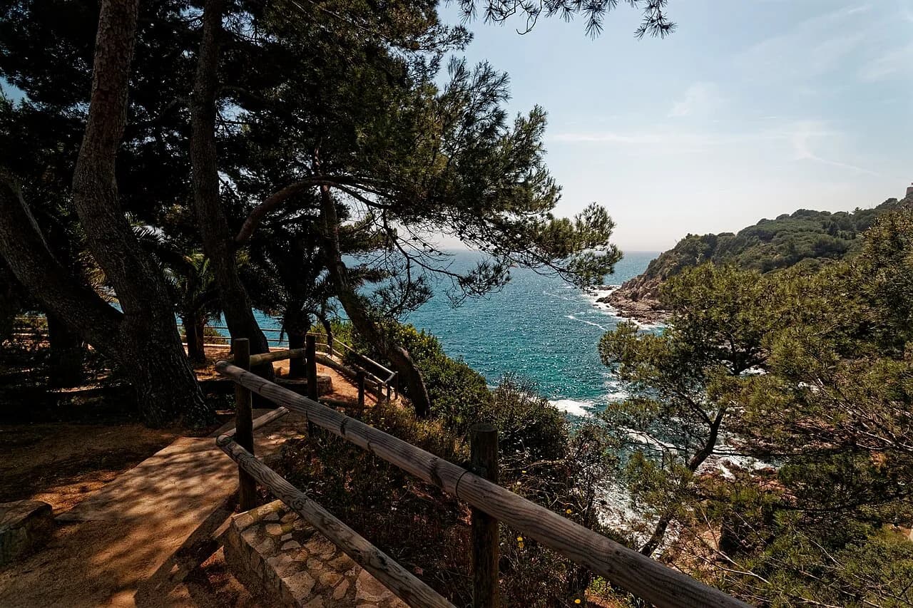 Best Beaches in Costa Brava: Coves, Sand and Where to Swim