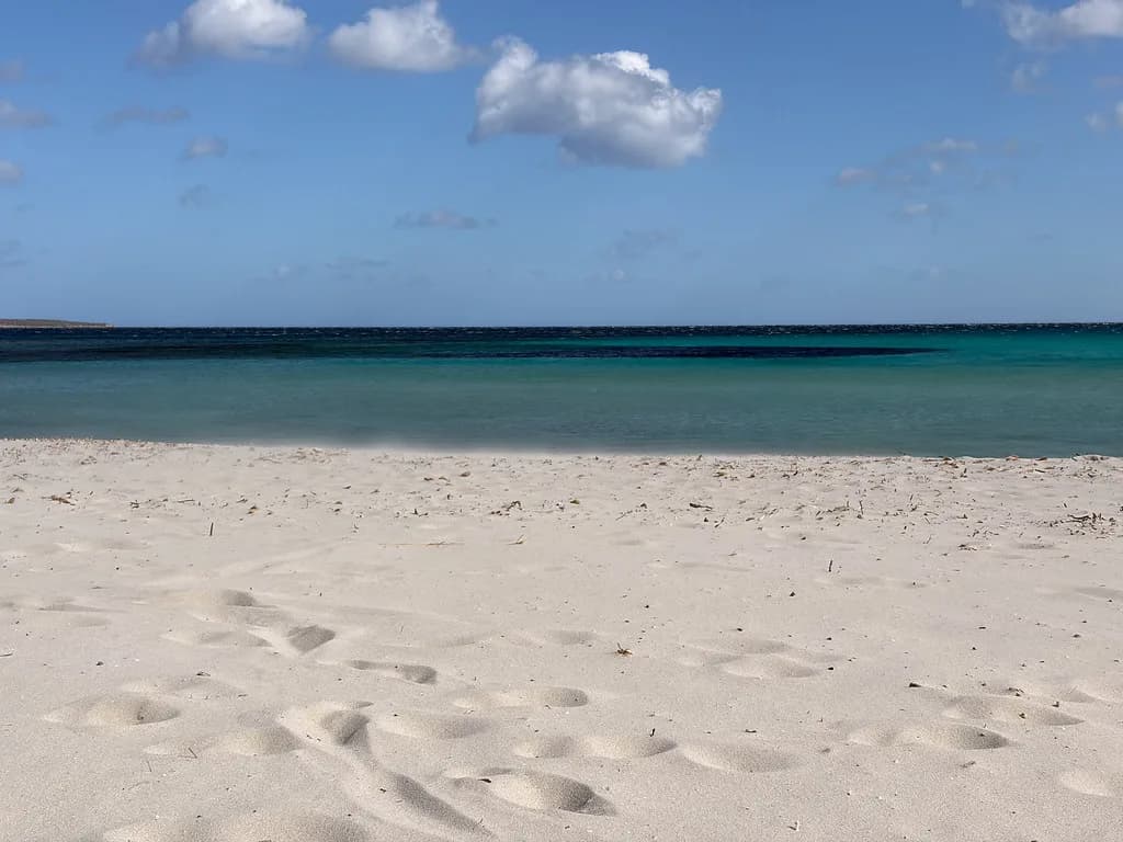 Costa Smeralda Beaches: Which Beach Suits Your Day