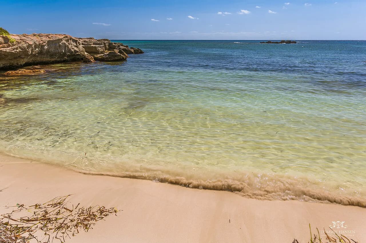 Favignana Beaches: A Cove-by-Cove Island Guide