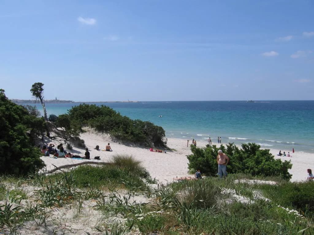 Maria Pia Beach, Alghero: Sand, Shade and How to Get There