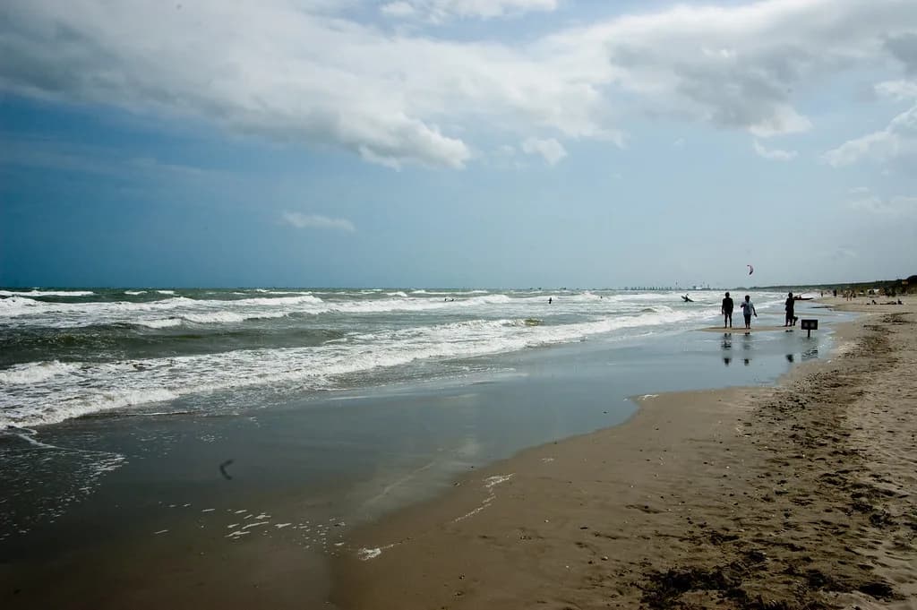Marina Romea Beach Guide: Ravenna's Pine-Backed Sands