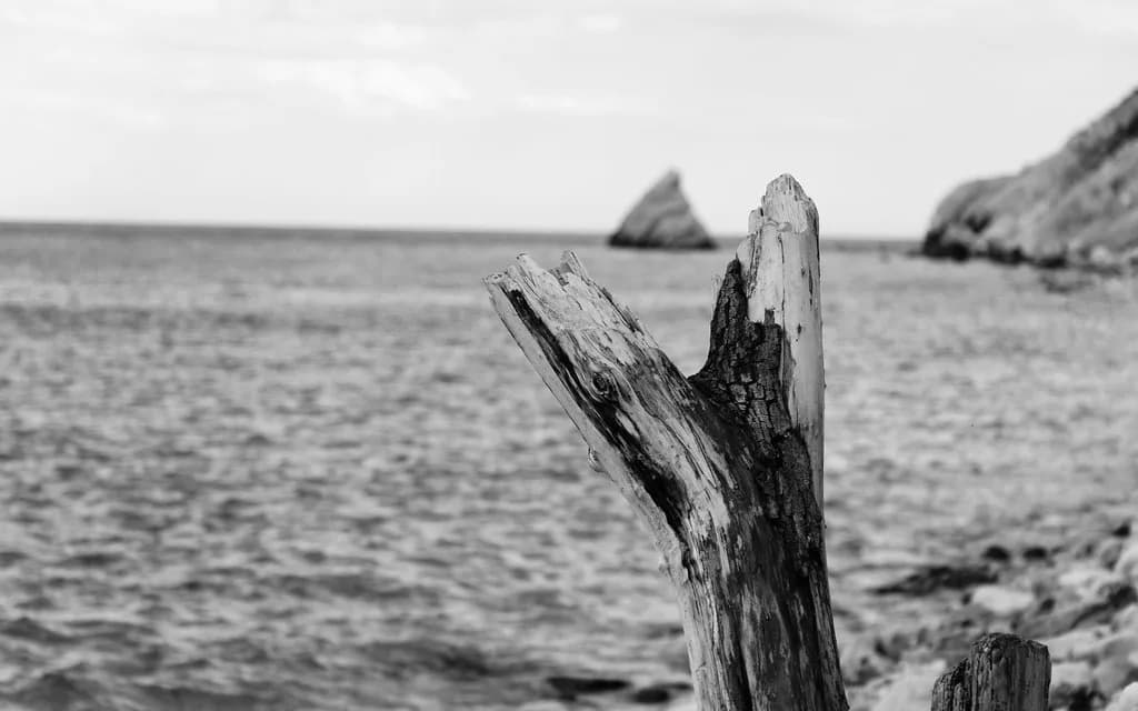 Portonovo Beach, Ancona: Pebble Bay on the Conero Riviera