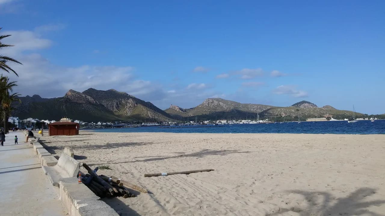 Puerto Pollensa Beach: Sand, Shade and Getting There