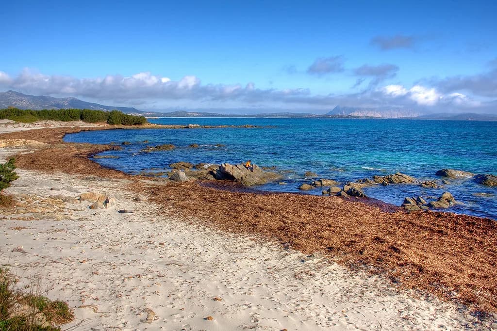 San Teodoro Beaches Guide: Where to Swim Near Olbia