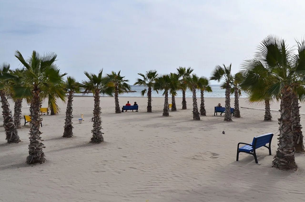 Palmeres a la platja del Postiguet, Alicante