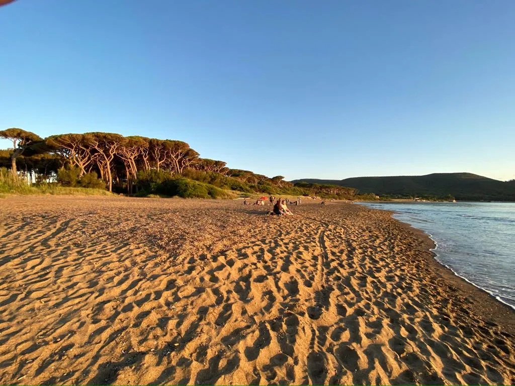 Spiaggia di Baratti, Livorno