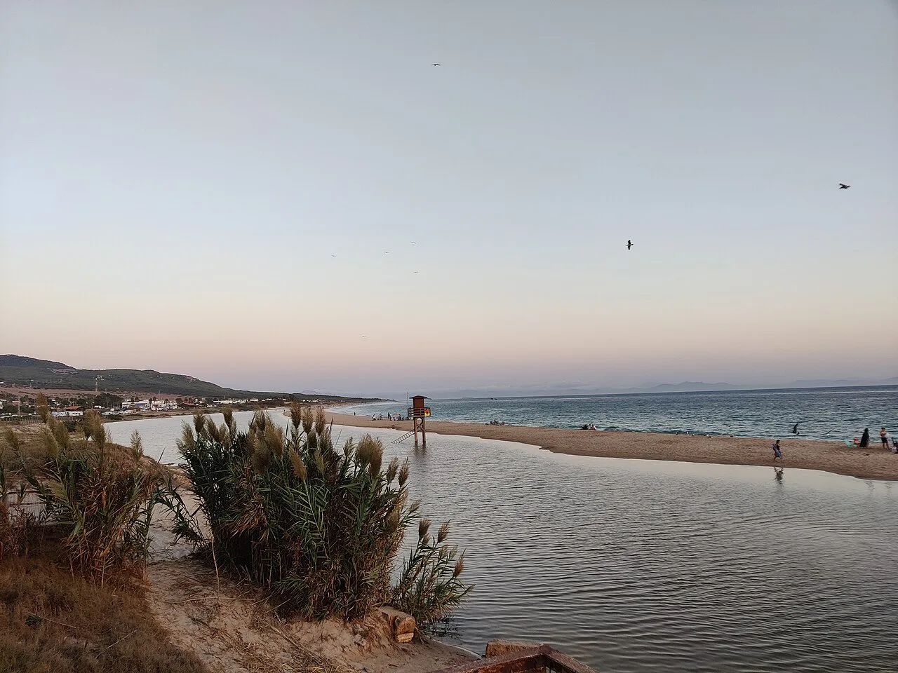 Bolonia (Tarifa)