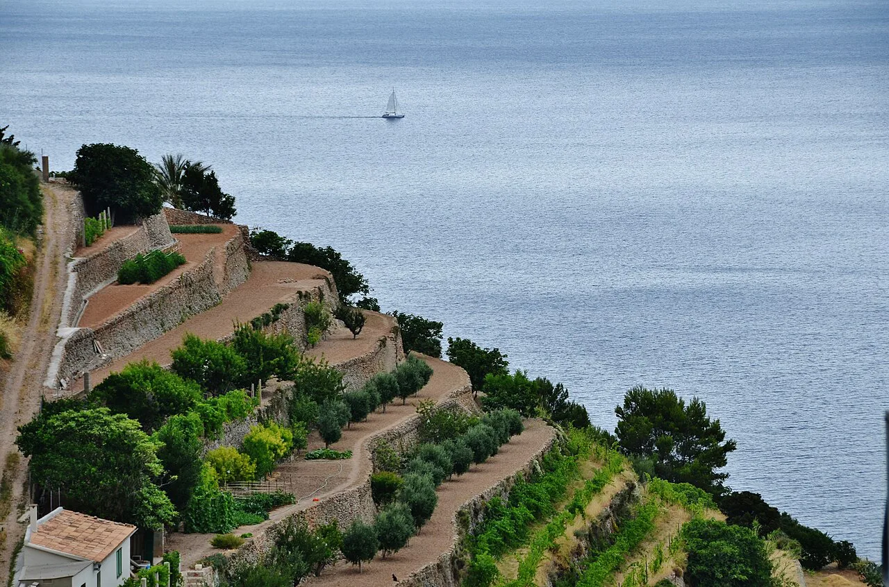 Coastline near Sóller, Spain