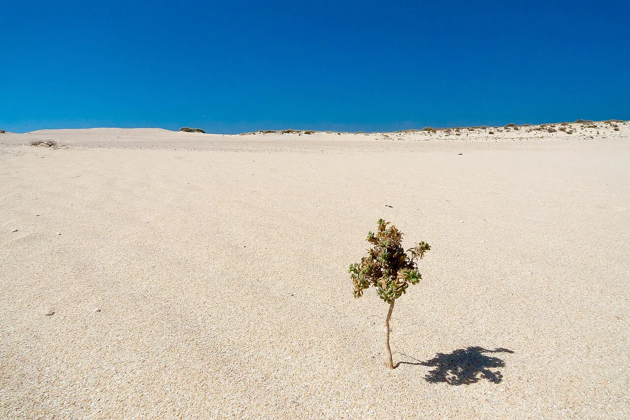 Corralejo Dunes Natural Park Fuerteventura