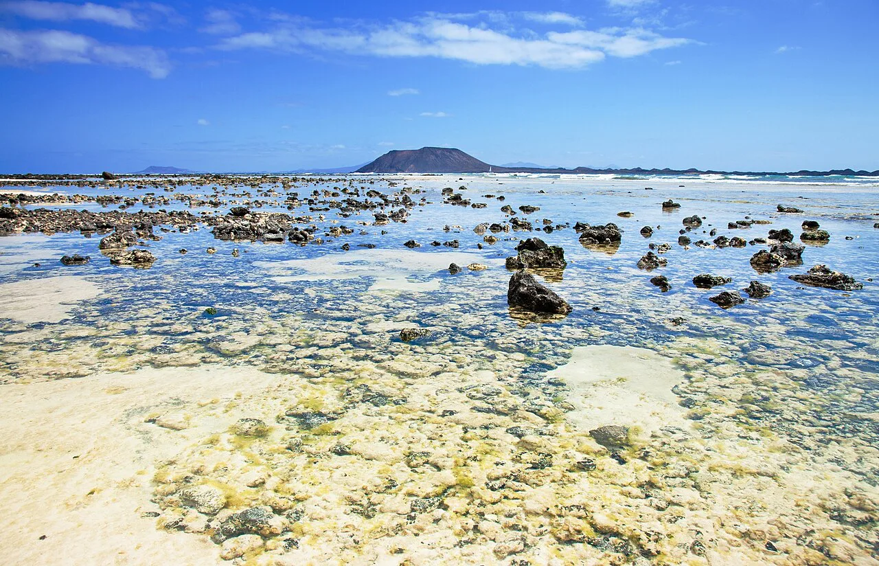 Islote de Lobos, como se ve desde la playa Flag Beach, marea baja, Corralejo