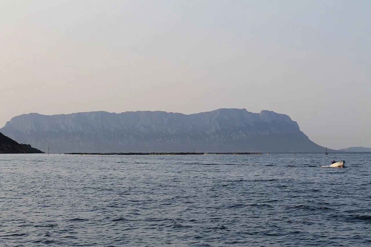 The Coast of Sardinia - panoramio, Olbia