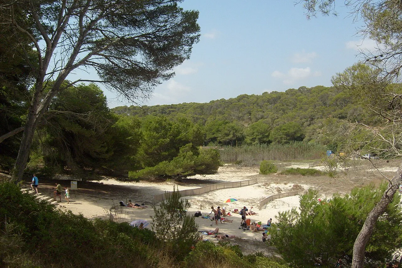 Mallorca scene, Alcúdia