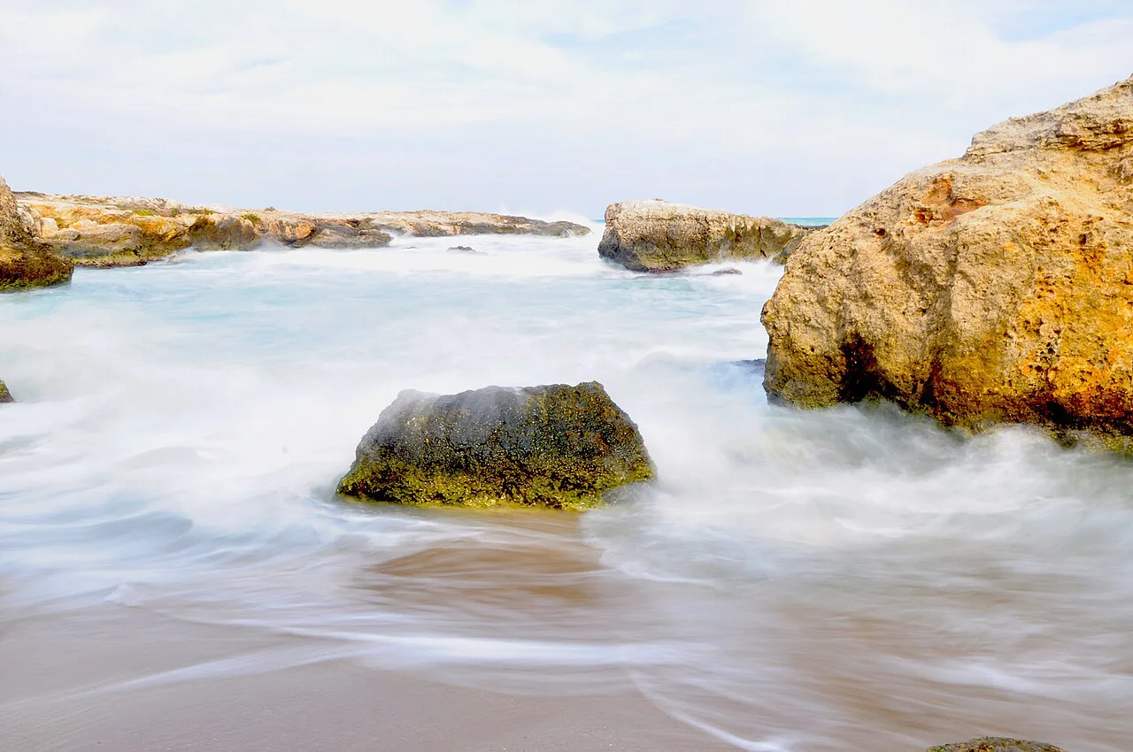 White Sea, Bari