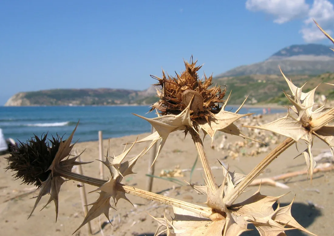 Kato Katelios beach Kefalonia - panoramio