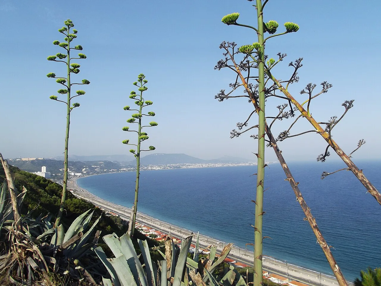 A view down the west coast of Rhodes from Monte Smith - panoramio