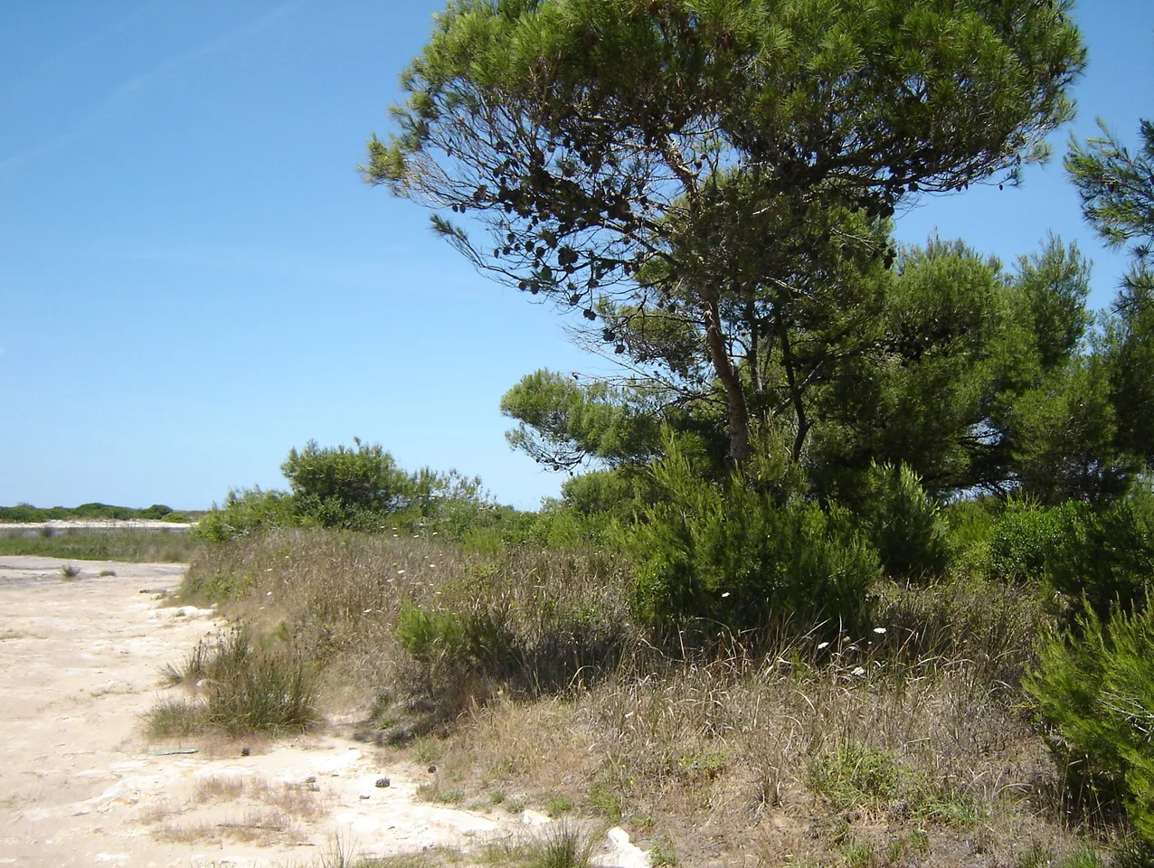 Cataldo, Lecce