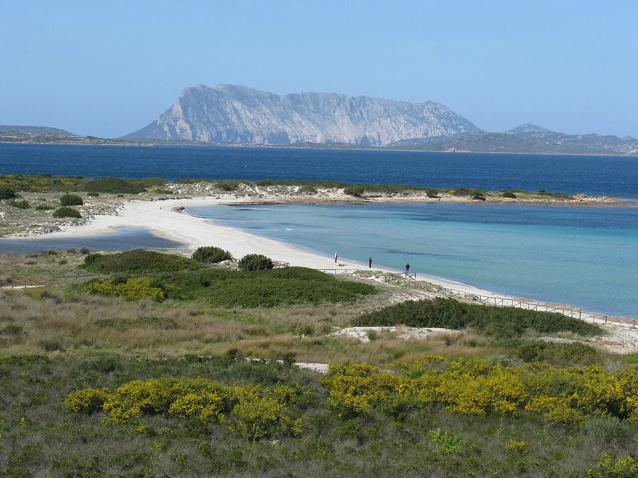 SPIAGGIA ISULEDDA CON VISTA SU TAVOLARA (S. TEODORO) - panoramio, Olbia