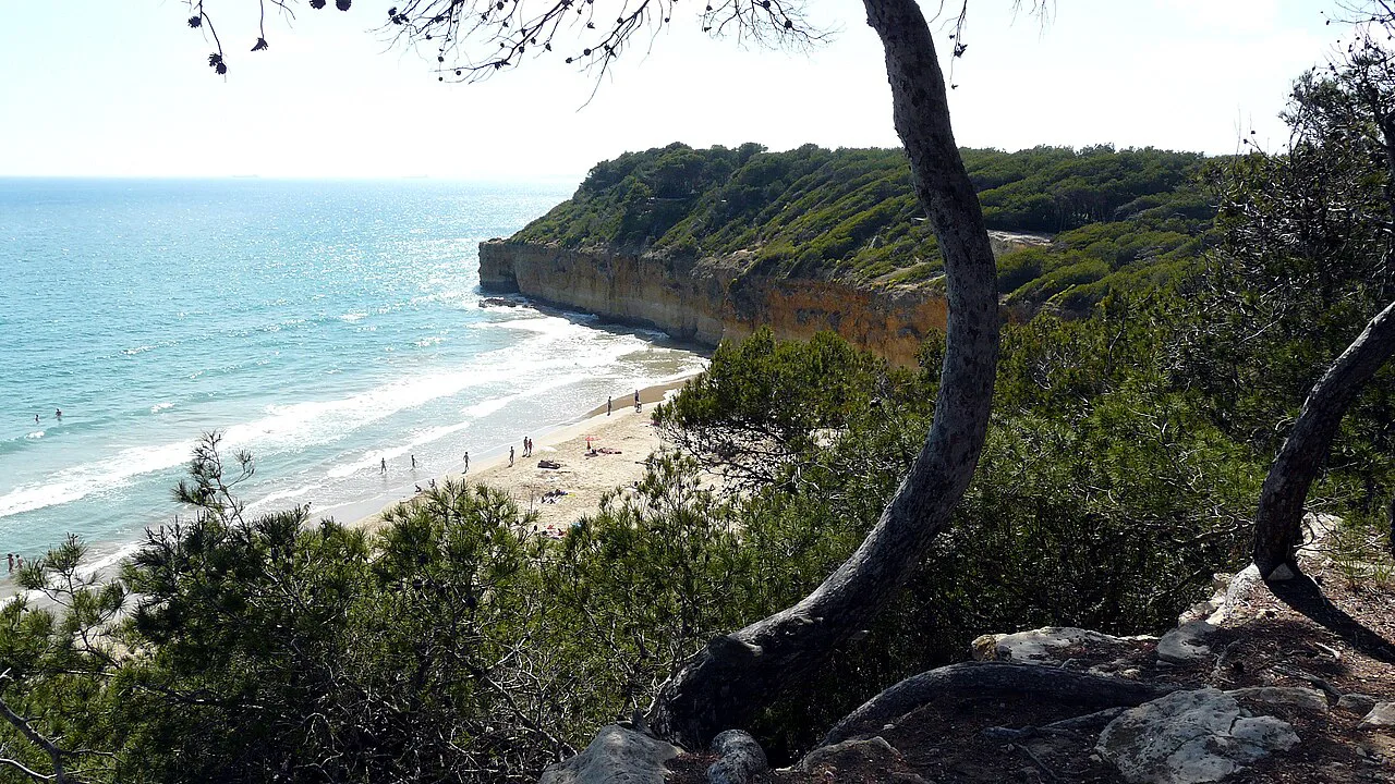 Tarragona - Bosc de la Marquesa (Catalunya) (Espanya)