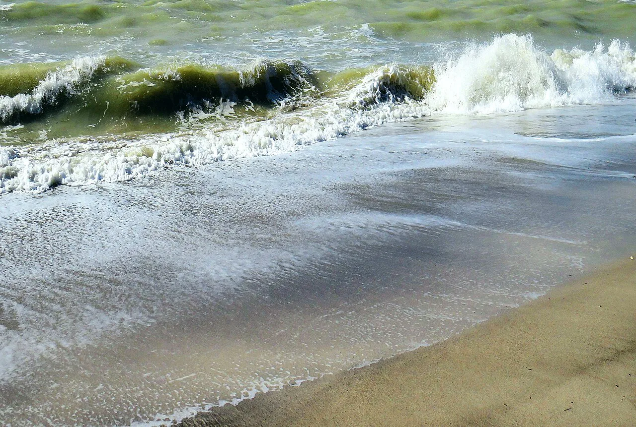Beach in winter, Livorno