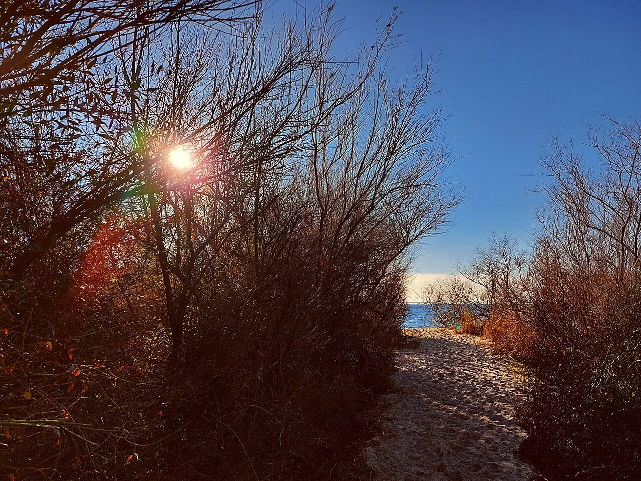 Tombolo di Cecina - Vada 3 - Accesso alla spiaggia, Livorno